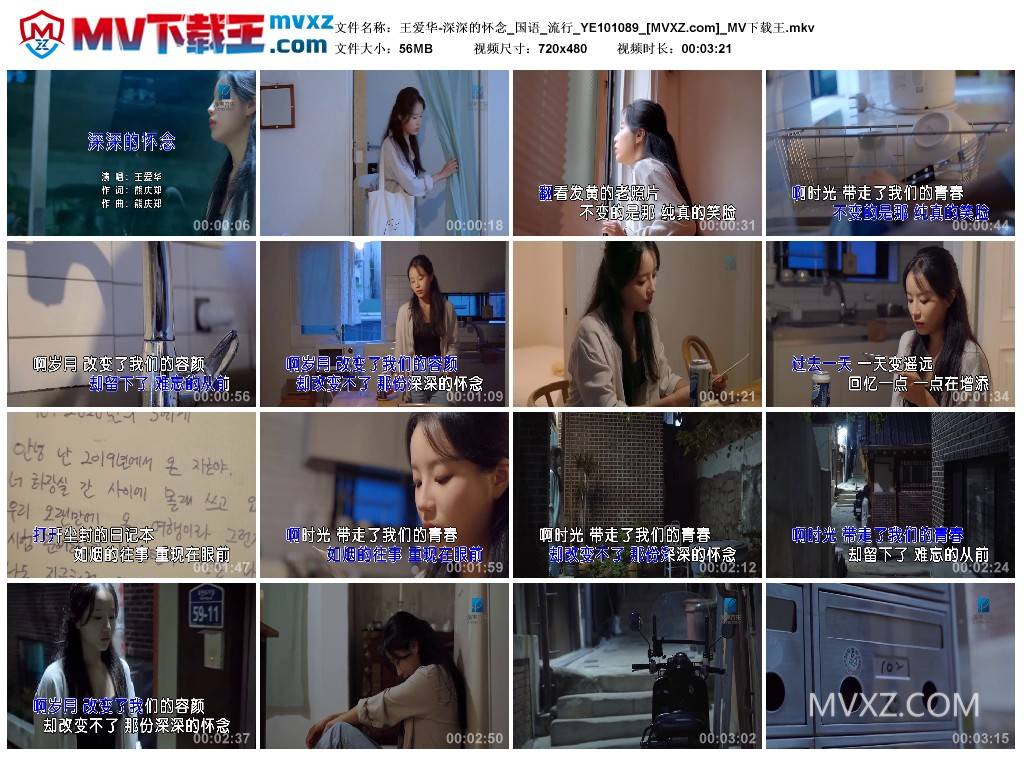 王爱华-深深的怀念_国语_流行_YE101089